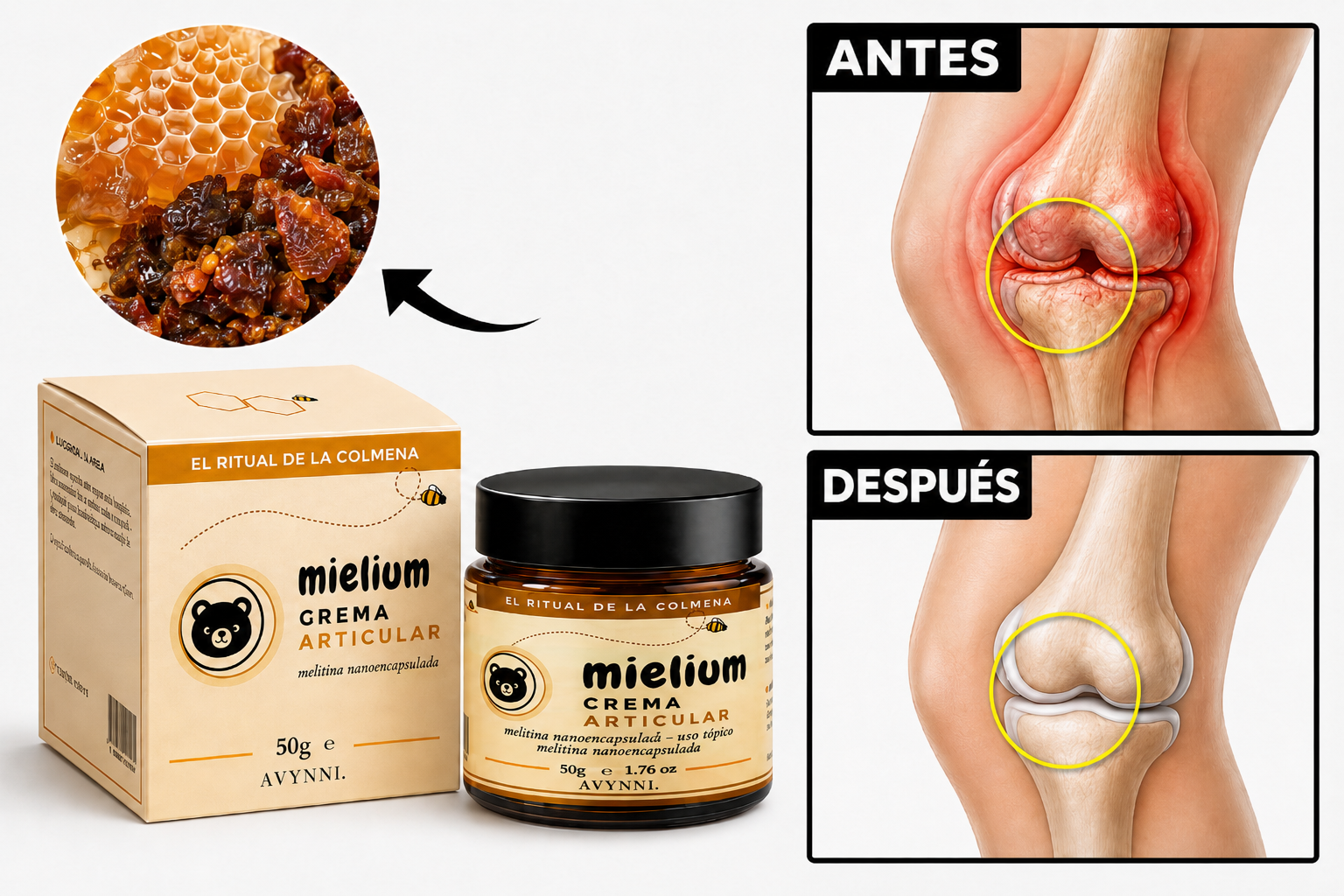 Resultados Mielium